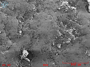 meterorite surface