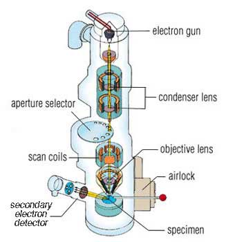 how the SEM works