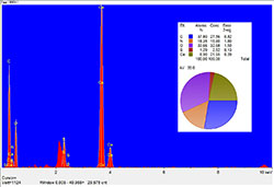 EDS examination of chicken egg shell