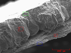Chicken egg shell looking at the edge of fracture. Magnified 150 times.