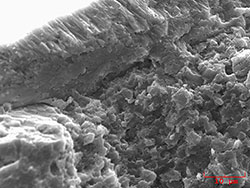 Magnified 2000 times