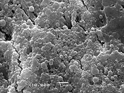 Surface of egg shell magnified 10,000 times.