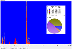 EDS analysis of egg shell surface.