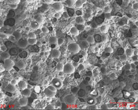 Ductile cast iron with excessive graphite concentration