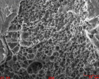 Ductile Dimples