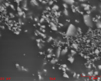 Coatings Analysis Images.