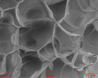 Cross section of styrofoam.